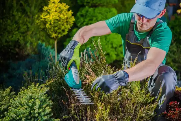 landscaping services Doylestown